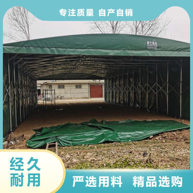 雨棚停车棚设备齐全支持定制设计合理