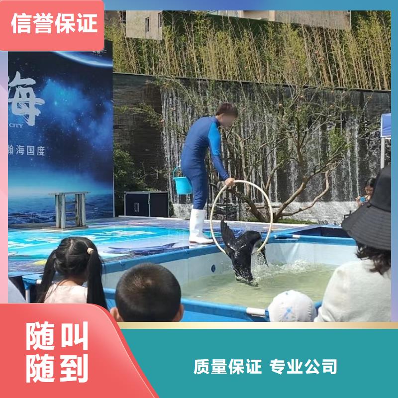 海洋主题动物表演房地产开盘庆典有实力专业团队