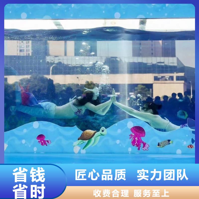 海洋主题动物表演马戏团表演快速响应附近公司