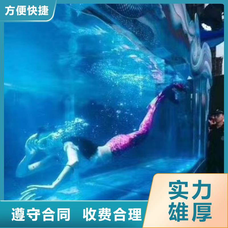 海洋主题动物表演马戏团表演出租租赁技术精湛高效快捷