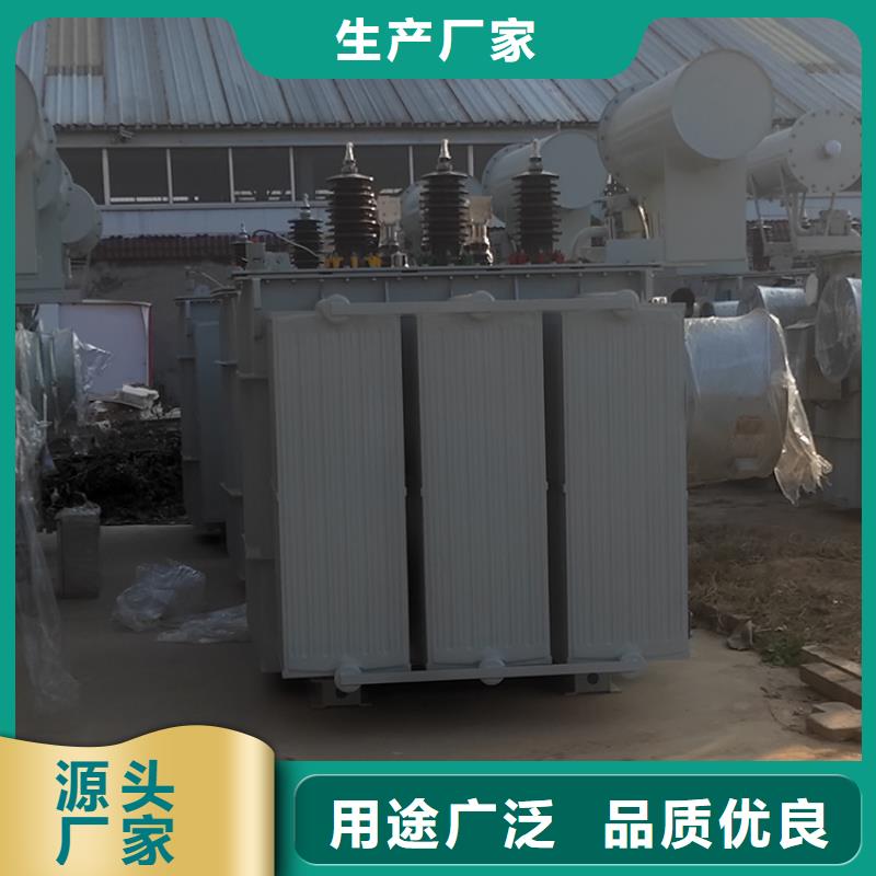 【油浸式变压器】变压器厂家做工细致品质过硬