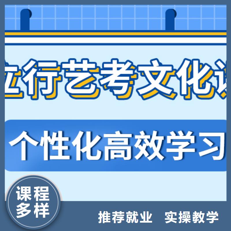 哪个好？艺考生文化课理论+实操