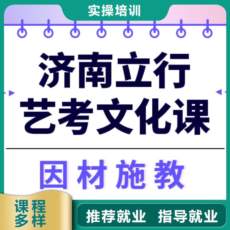 艺考文化课班费用雄厚的师资本地厂家