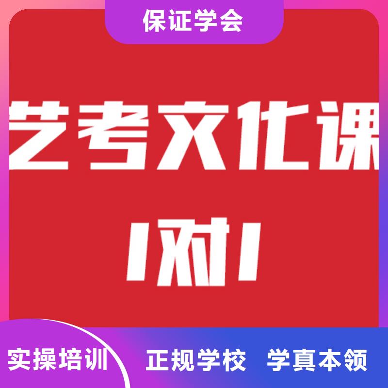 艺考生文化课培训机构报名要求理论+实操