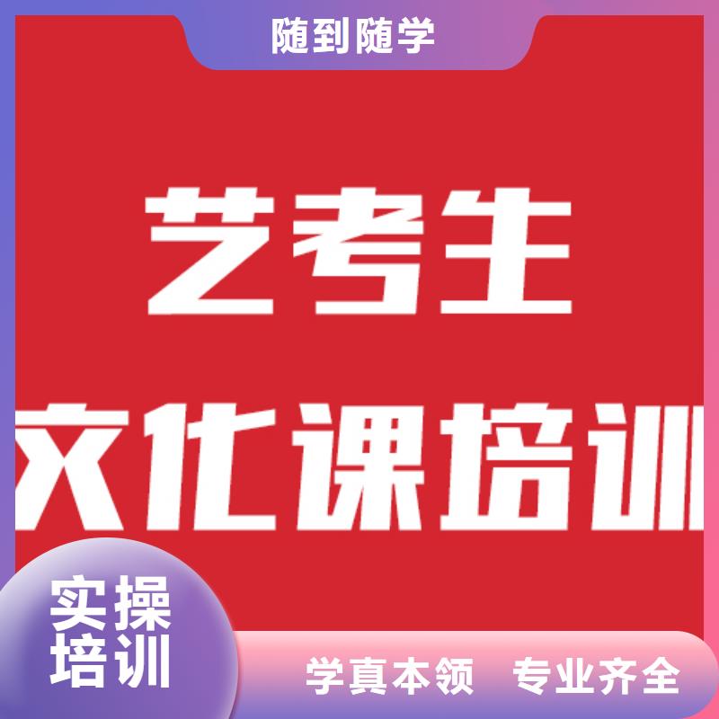 艺考生文化课补习学校哪个好怎么选学真技术