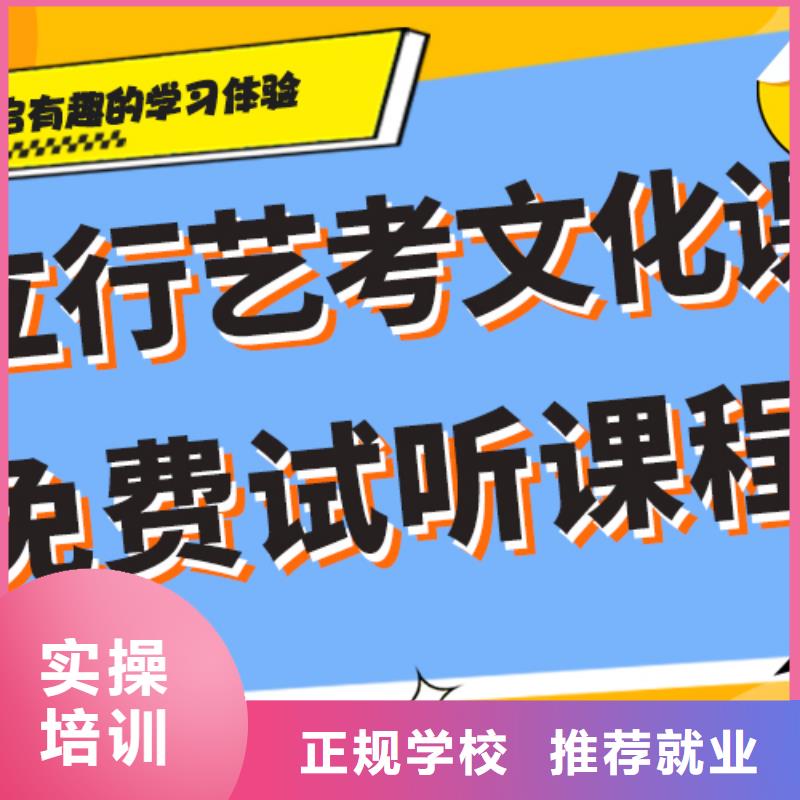 艺考生文化课培训补习哪个好精准的复习计划理论+实操