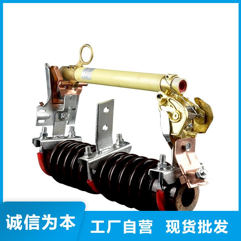 熔断器-【真空断路器厂家】精心打造品种全