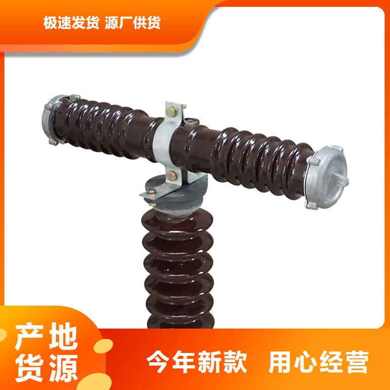 熔断器_氧化锌避雷器正规厂家安心购