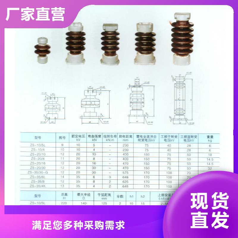 绝缘子【高低压电器】源厂定制当地生产商