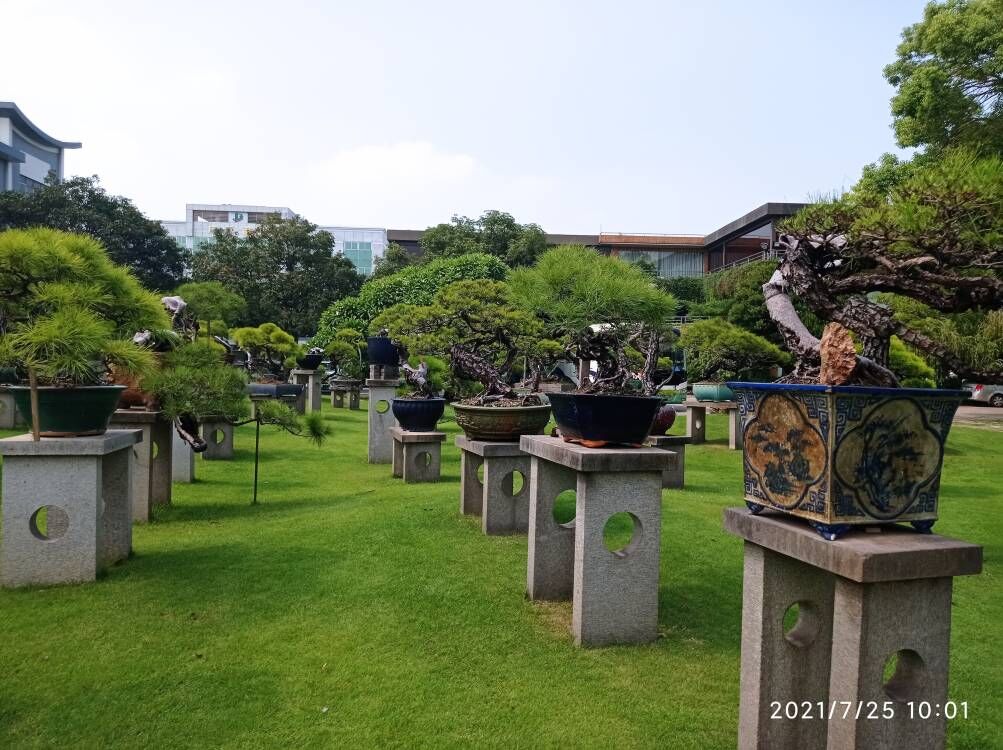 海滩涂建设土壤固化剂优惠多